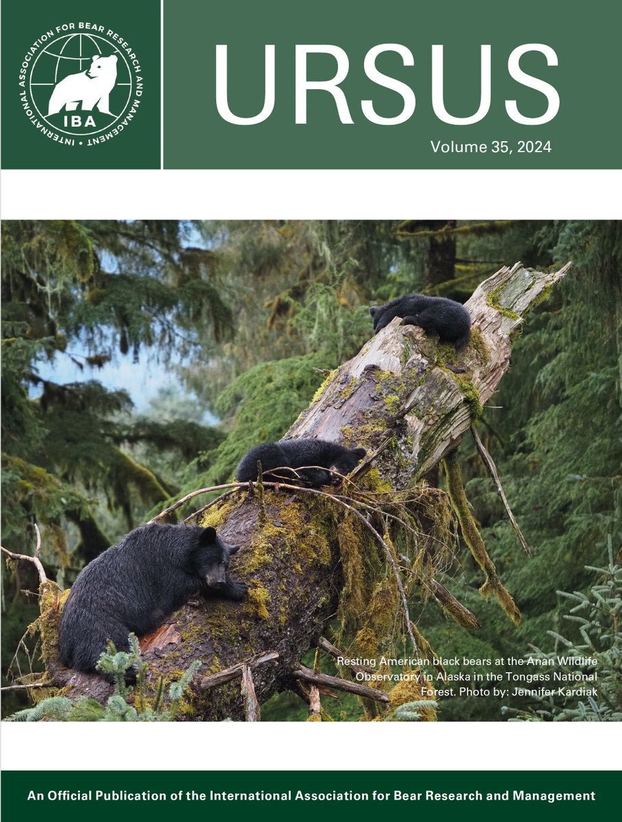 Ursus - the journal of the International Association for Bear Research & Management @IBAbearbiology has a new cover for 2024. We polled IBA members to select the new image & this one was the overwhelming favourite. It is a very cool photo from Tongass National Park in Alaska.