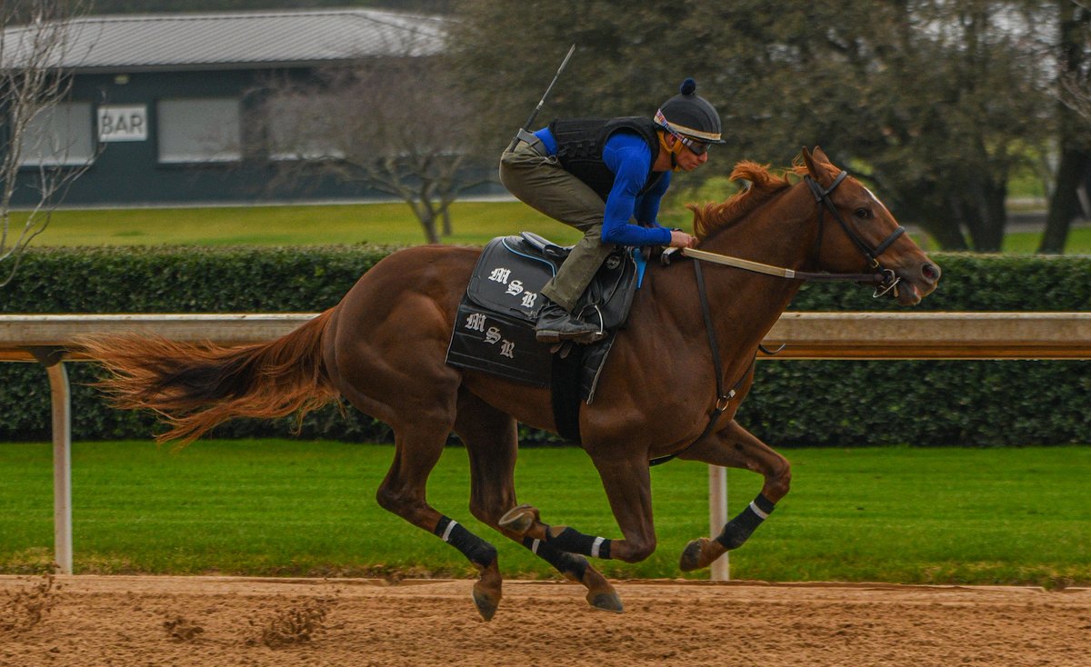 Robert Yates (@robertyates1982) on Twitter photo Dazzling Jan. 12 <a href="/OaklawnRacing/">Oaklawn Hot Springs</a> debut winner Twenty to Park, under Francisco Arrieta, working 3F after the break Friday morning for <a href="/shirerracing/">Matt Shirer</a> & <a href="/StatonFlurry/">Staton Flurry</a> of Hot Springs. Dazzling Jan. 12 <a href="/OaklawnRacing/">Oaklawn Hot Springs</a> debut winner Twenty to Park, under Francisco Arrieta, working 3F after the break Friday morning for <a href="/shirerracing/">Matt Shirer</a> & <a href="/StatonFlurry/">Staton Flurry</a> of Hot Springs.