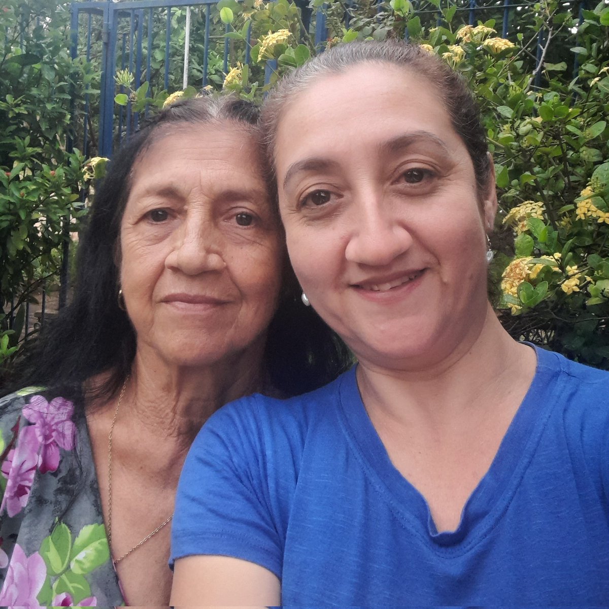 wilroxy's tweet image. #NuevaFotoDePerfil