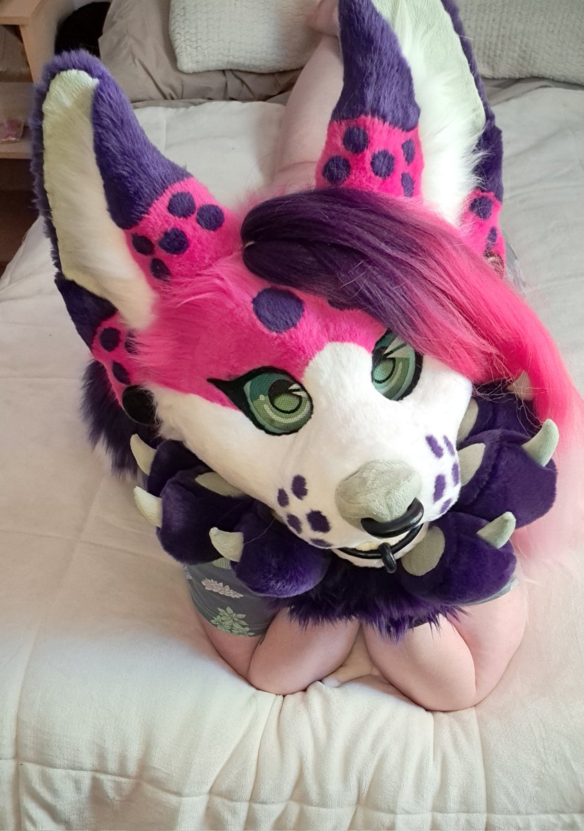 Feeling super cute in these PJs! On this #FursuitFriday 

#furrycommunity #fursuiter #fursuit #furry