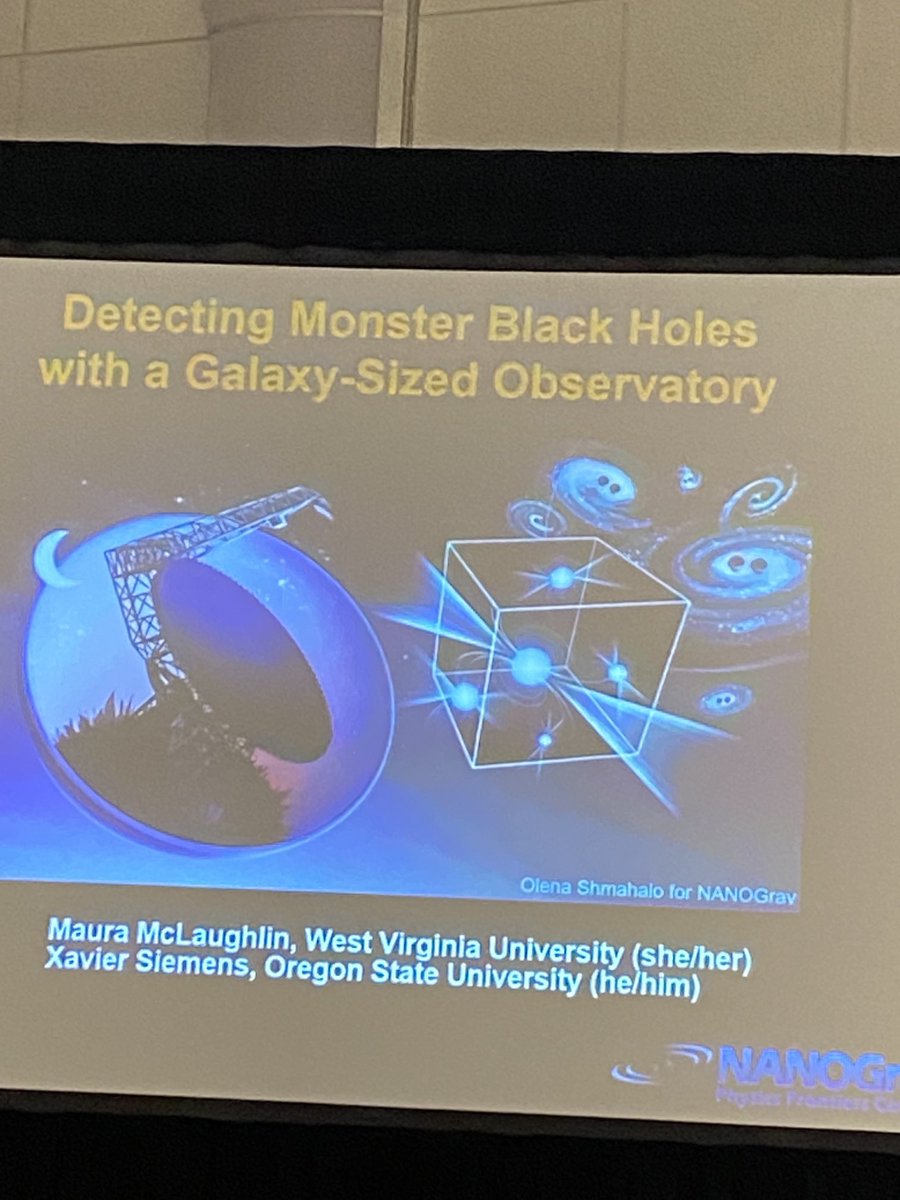 The session (#AAAS2024) is “the din of giant black hole mergers overheard”! If they don’t play the sound, I will be quite disappointed. 👂👂👂