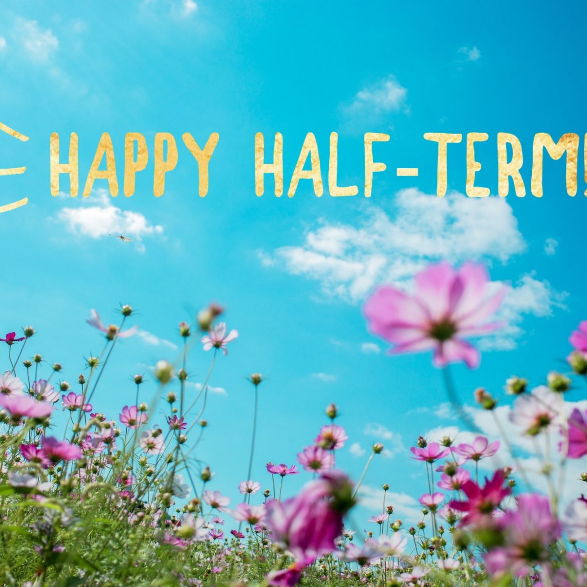 From everyone here we'd like to wish you a happy half term. We hope you all have an enjoyable week off. Please remember we return to school on Tuesday 27th February, as Monday 26th is an INSET day. The Priory Team