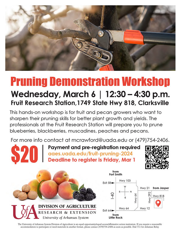 AginArk's tweet photo. Pruning can really improve plant health and is an essential skill for fruit and nut growers.
Join the experts at @ArkAgResearch's fruit station on March 6 to learn the best techniques for #pecans, #berries and #muscadines. 
Leare more: 
https://t.co/E9PkBiuwrM https://t.co/lDDmcn959A