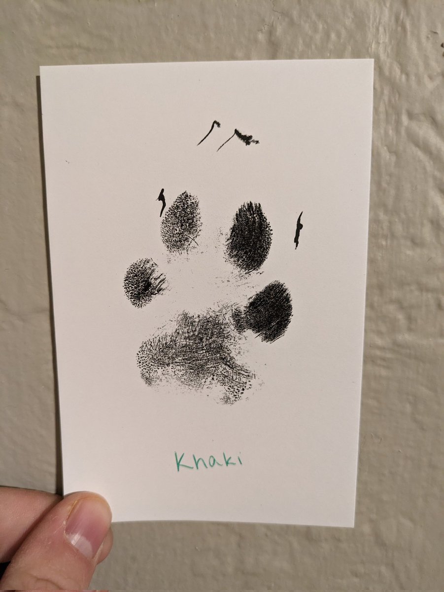 rtbrck's tweet image. For those of you who have known and loved Khaki, know that she felt it to the very end. She passed peacefully at home in my arms this morning.