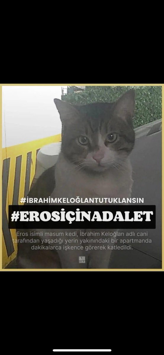 Katillerle beraber yaşamak istemiyorum, kendinden çok daha güçsüz bir canı keyif için öldürenlerle bir arada yaşamak istemiyorum, adalet sağlanmasını istiyorum. Katil dışarıda olur mu
#ibrahimkeloğlantutuklansın
