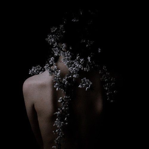 awfullywrites's tweet photo. daisies on a grave • daemyra fanfic • 8/12 • 18K words

three years after her marriage, daemon and rhaenyra meet again on the cliffs of driftmark. they're here for a birth - they might stay for a funeral 🕊

https://t.co/WNbyHo1xIg https://t.co/FUxxec66rz