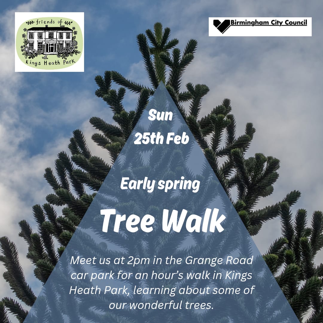 Have you seen the signs of
spring in the park? Join us for an early spring Tree Walk on Sunday 25th Feb! Weather permitting, we
will meet in the Grange Road car park at 2pm. Check
in with social media in case the weather forces us to cancel
