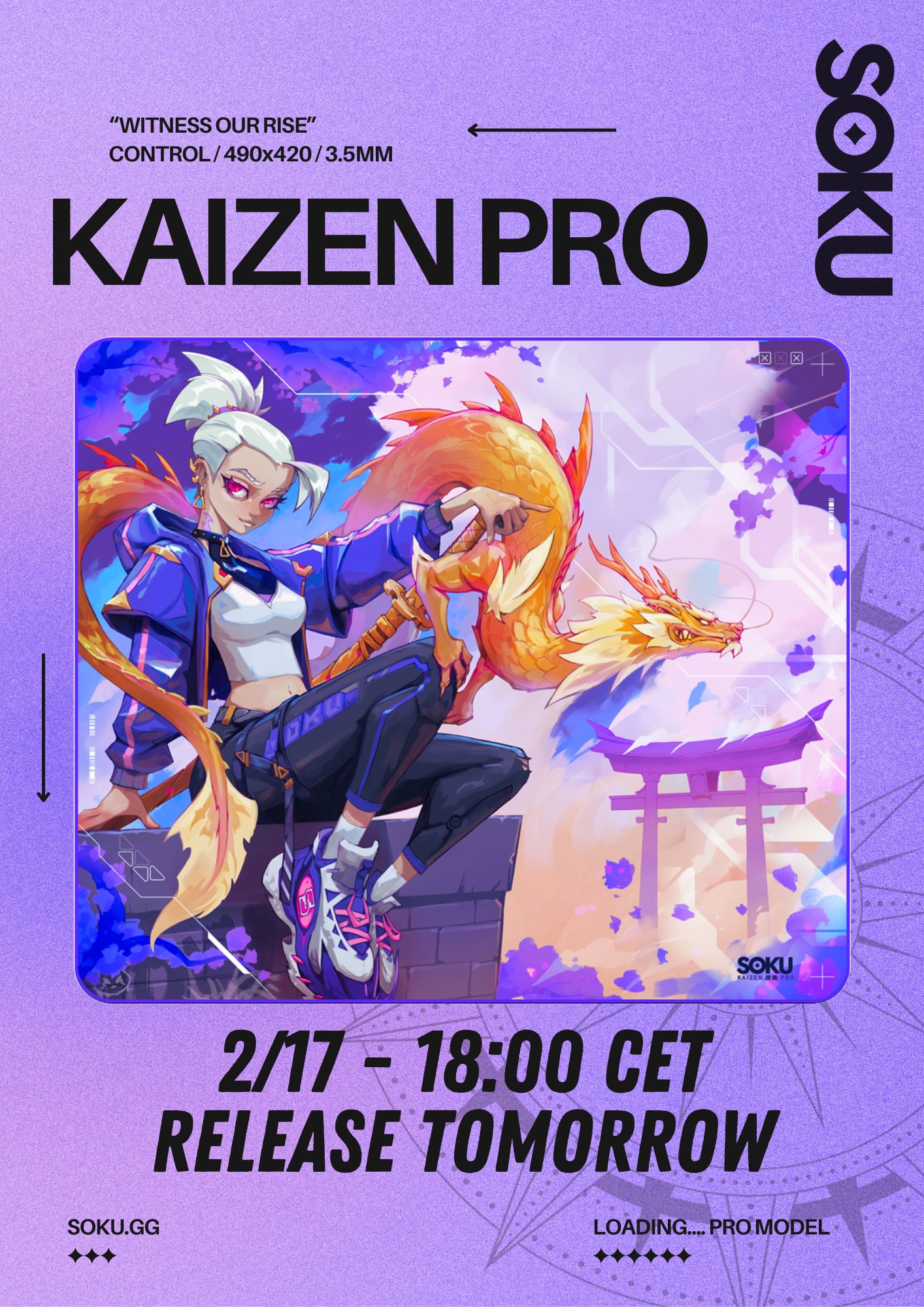 ゲートルーラー SOKU KAIZEN PRO SOKU KAIZEN PRO レビュー – DPQP | ゲーミングデバイスの総合