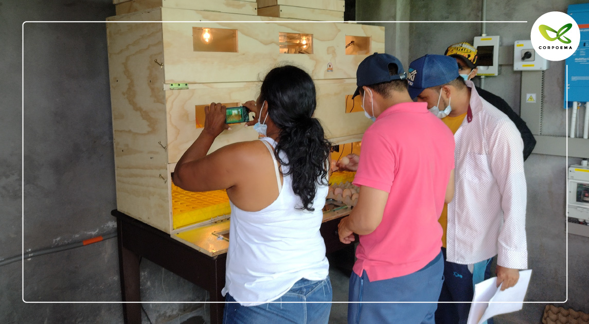 Corpoema's tweet photo. 🧵1/4
Después de 3 años hemos culminado el proyecto Inclusión energética como motor del desarrollo centrado en las comunidades implementado en los municipios de Natagaima y Coyaima, al sur del departamento de Tolima.
@semillas2 #EBP @Fastenaktion_CH #REPIC @SuizaColombia https://t.co/dwCLl1CyuL