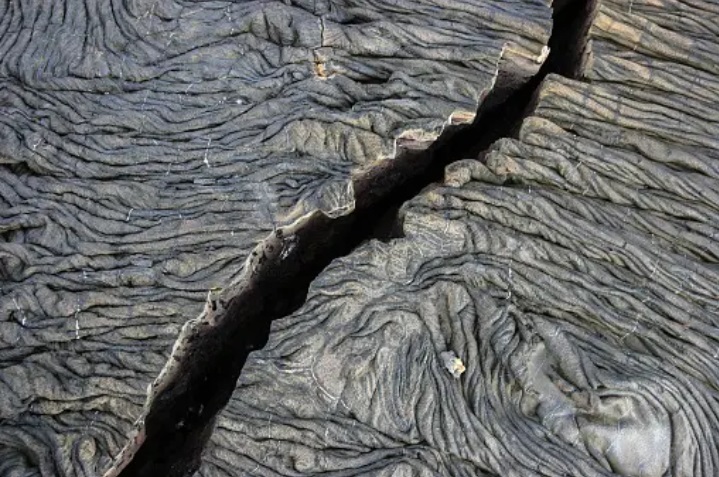 FeeD News tweet media