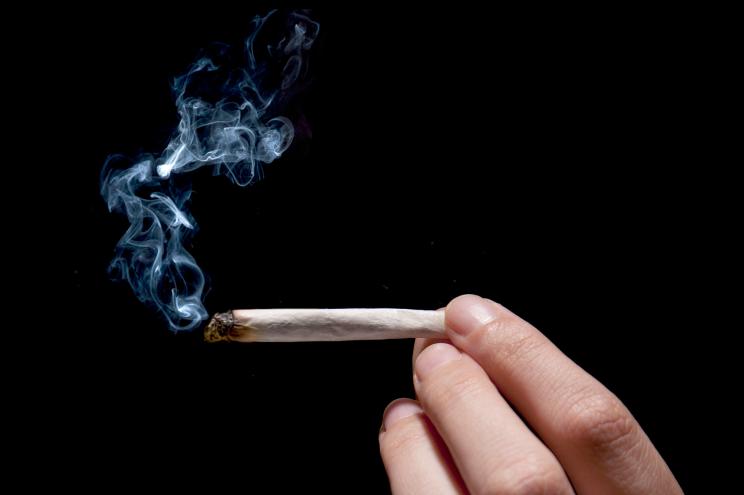 Awaken_Fury's tweet photo. What's Happening with my weed!?

#weed #marijuana #cannabis #Psychosis #Gaming

https://t.co/xd7Bwy8cRT https://t.co/RLXtYODSkj