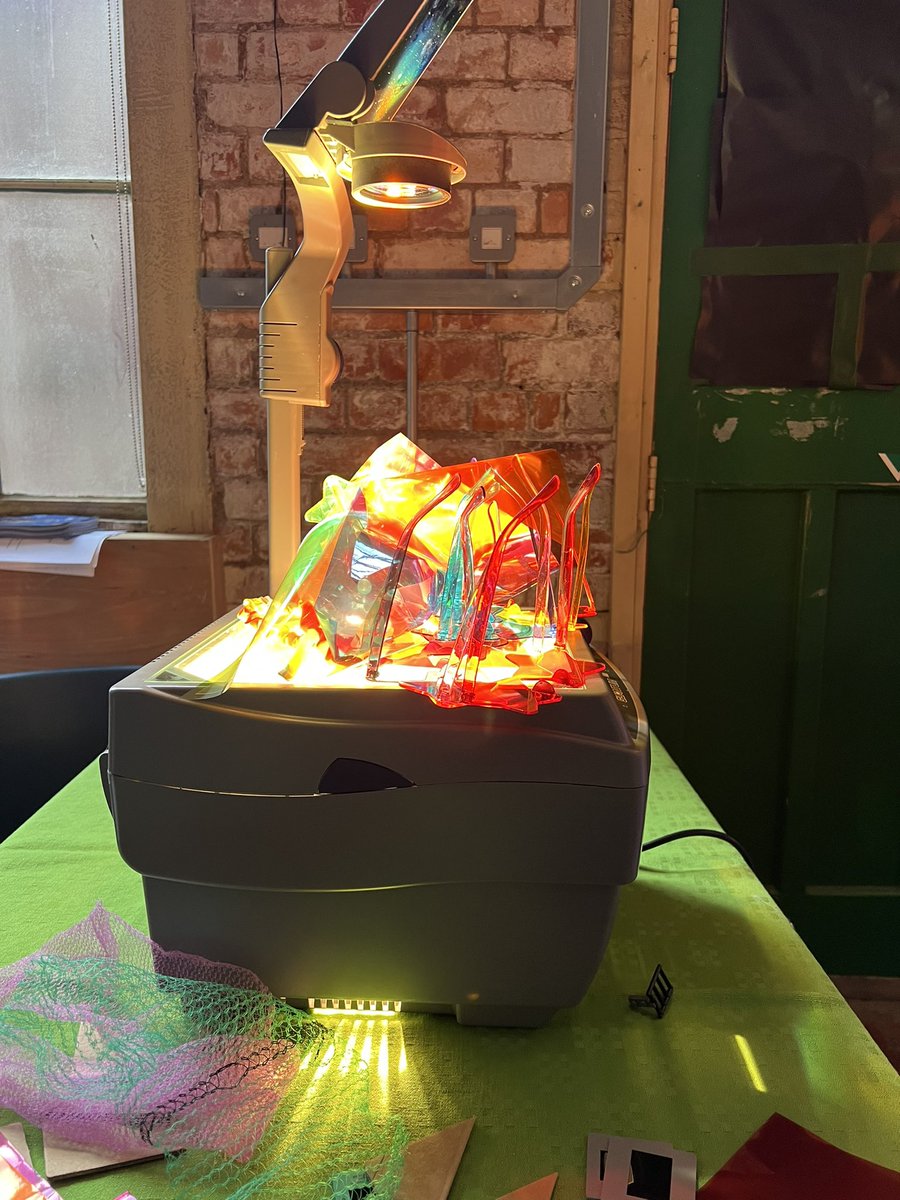 Amy @ The Parakeet tweet media