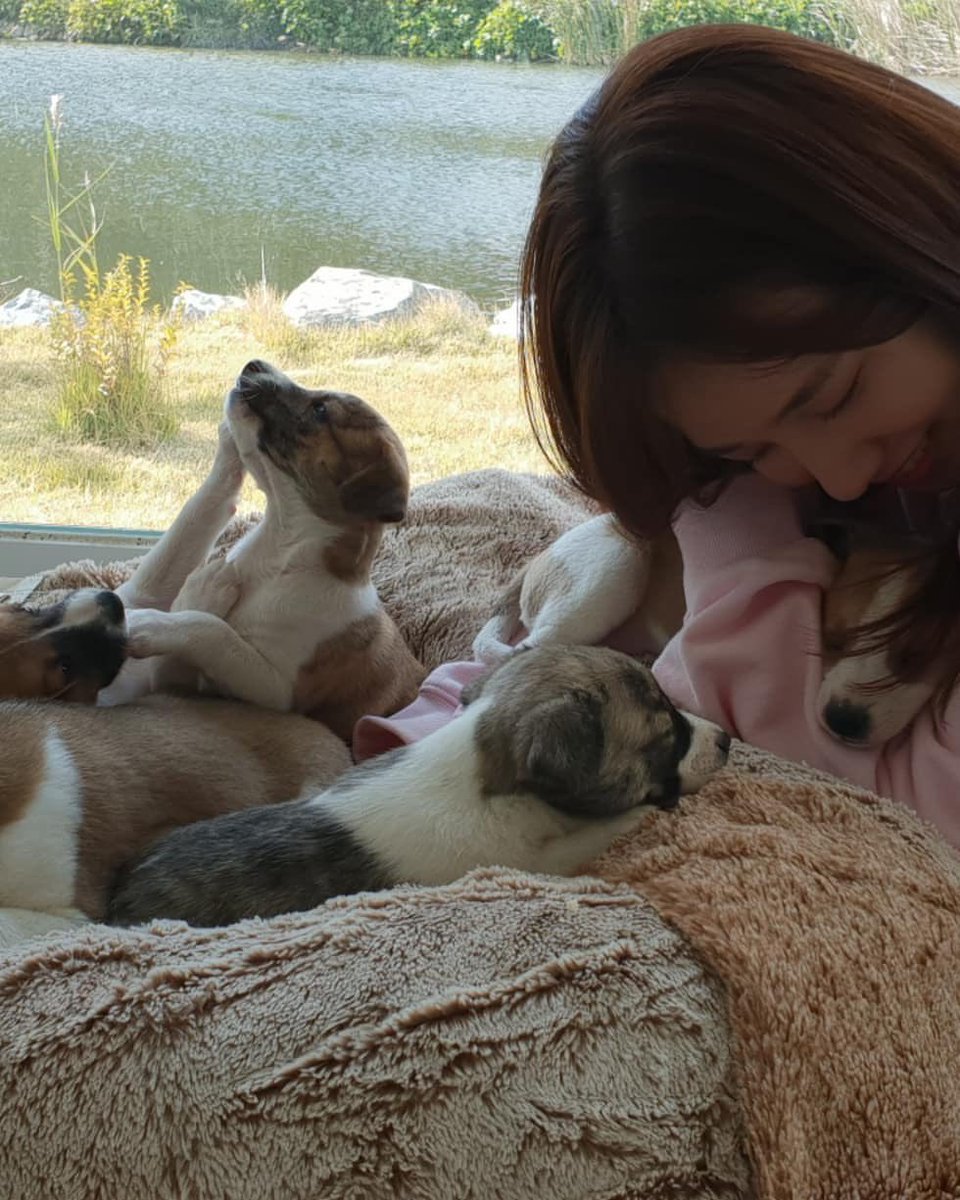 Adore_0904's tweet photo. 강아지 옆에 또 강아지 . . 🐶 https://t.co/d6eKlCbNtH