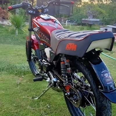 lisbeth odaliz tweet media