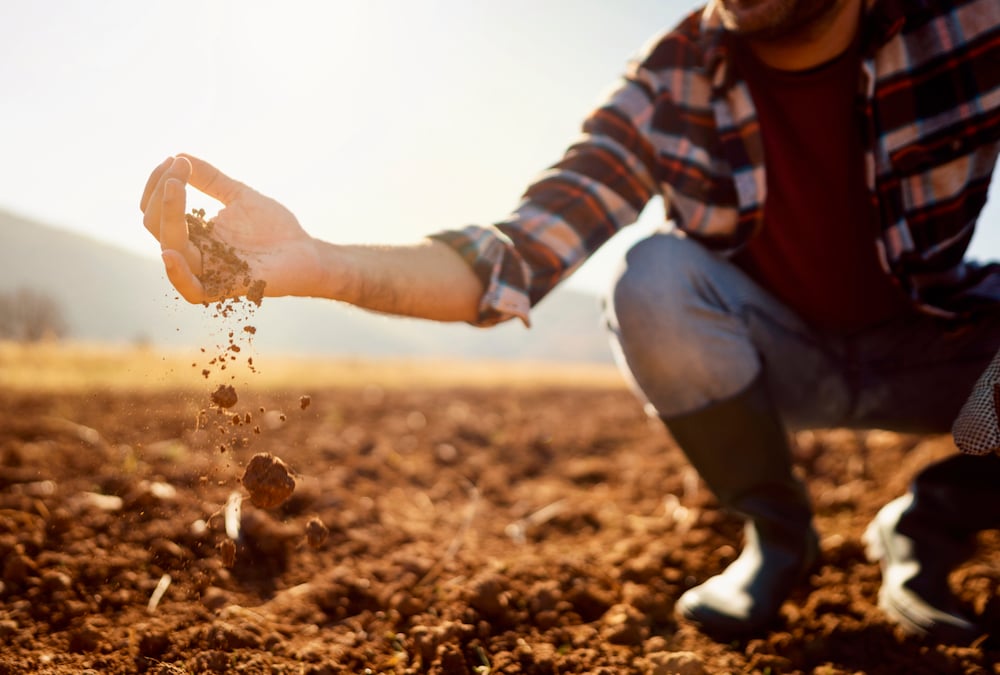 🌍🚜🌱 Recent Uzbekistan president's decree to combat soil degradation and promote sustainable agriculture marks a significant step forward!  By subsidizing practices that enhance soil fertility and humus content, it paves the way not only for improved crop yields but also to
