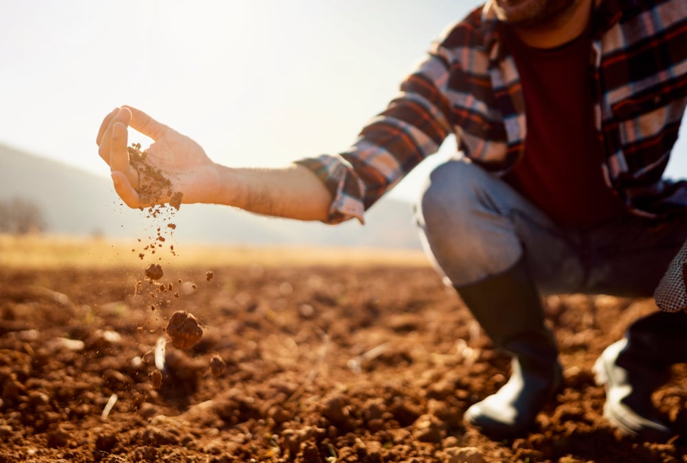 🌍🚜🌱 Recent Uzbekistan president's decree to combat soil degradation and promote sustainable agriculture marks a significant step forward! By subsidizing practices that enhance soil fertility and humus content, it paves the way not only for improved crop yields but also to…