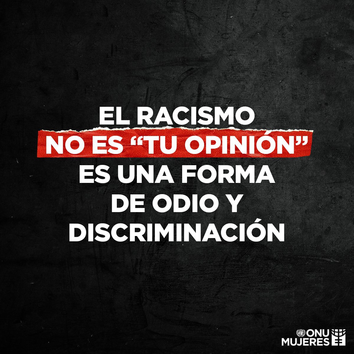 ONU_es's tweet photo. El racismo es una plaga que aflige a la humanidad.

Debemos rechazarlo y condenarlo sin reservas.

@ONUMujeres te anima a #CombateElRacismo y a promover la igualdad para todas y todos. https://t.co/zZOaJHOgpR