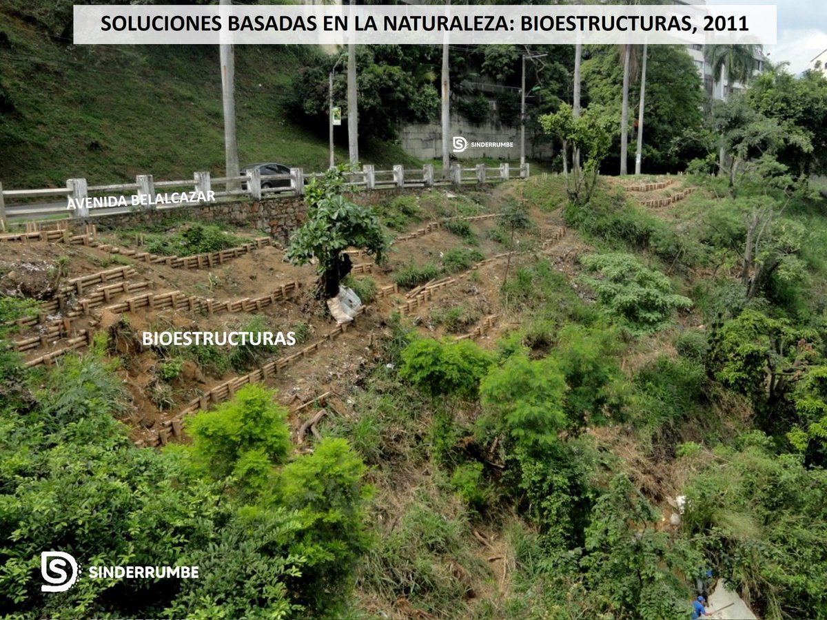 Juancho Sinisterra 🇨🇴 tweet media