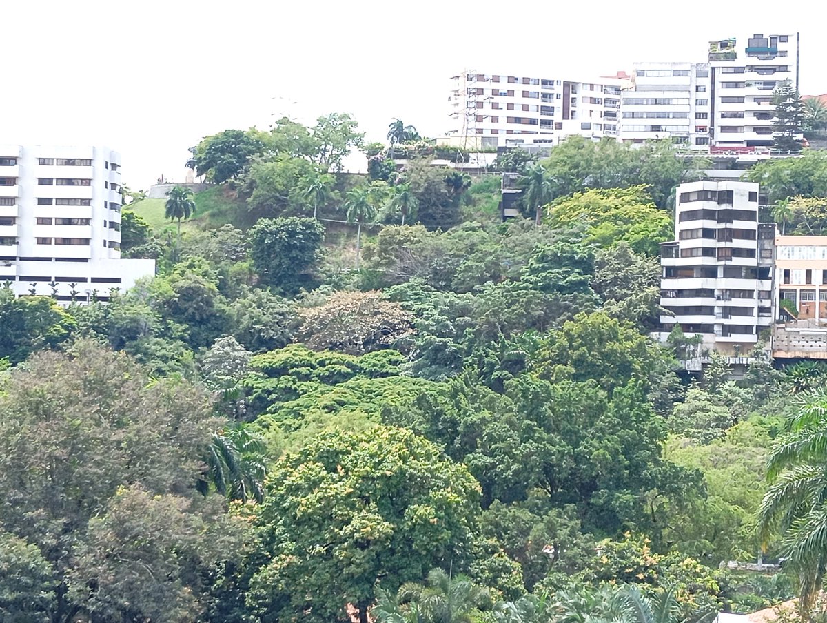 Juancho Sinisterra 🇨🇴 tweet media