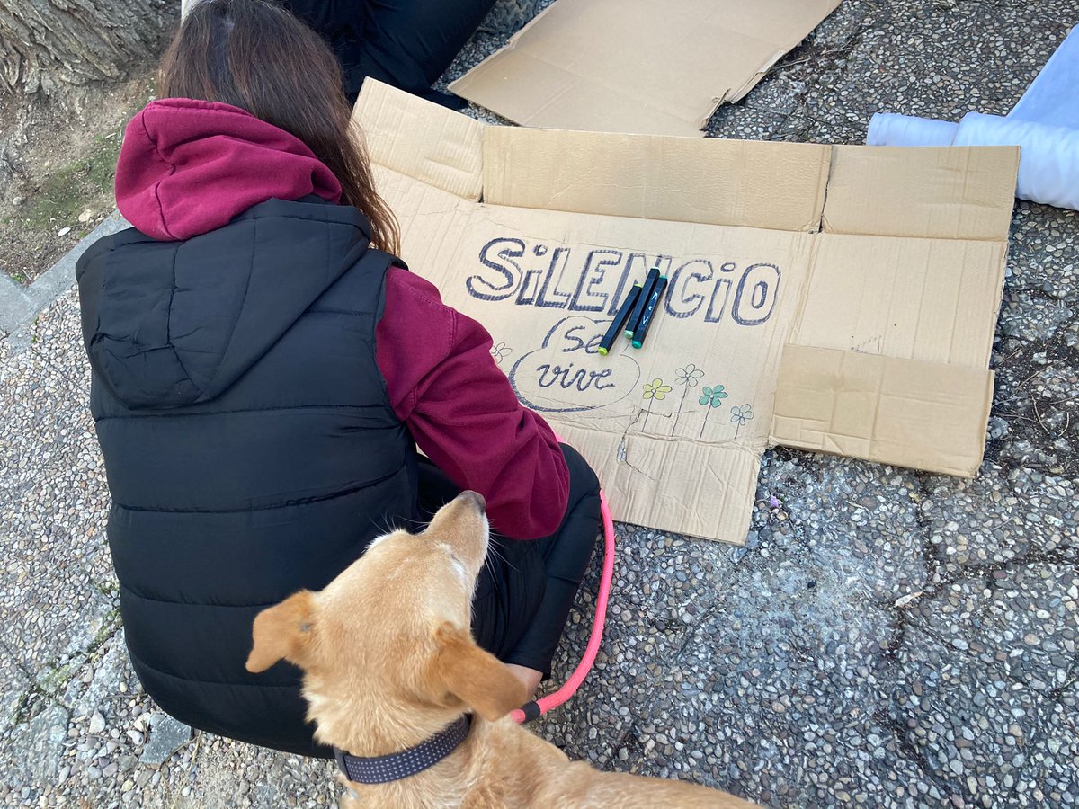 avManzanares's tweet photo. En nuestro barrio hemos estado haciendo pancartas y carteles para la mani del domingo.
¡No a los petardos! 🧨 #NoALaMascleta
El domingo a las 12hs os esperamos en el Puente del Rey 🐦🪿🦤 https://t.co/WHfff77bsB