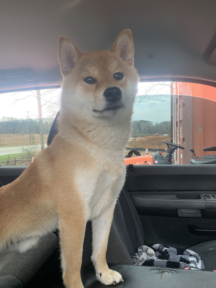 Matt-Michael86 tweet media