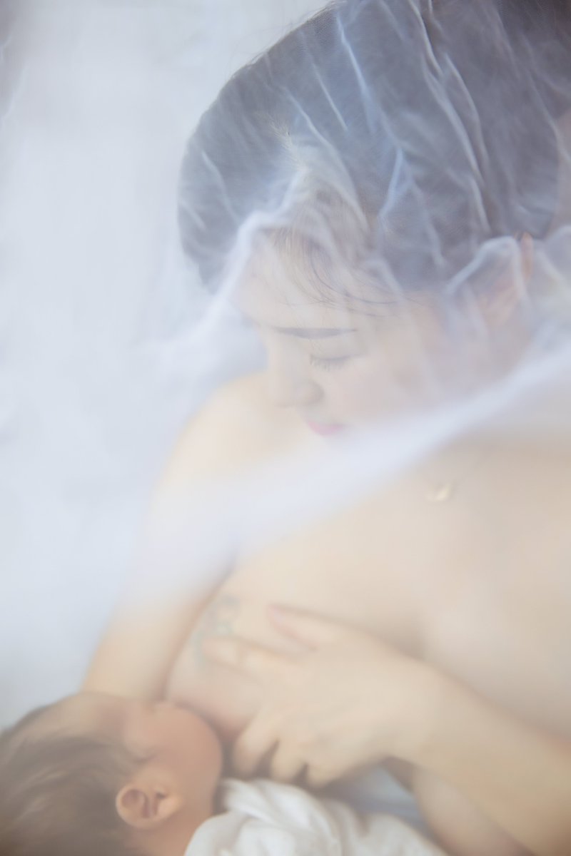 trickTang's tweet photo. 经典素人区，1500 58套精选母爱精选写真合集第三部7432p（63g），与之前两部都不一样，而且这次不只是哺乳，还有精选孕照写真，介意勿拍，自购链接：https://t.co/t78ugFkyZ7 https://t.co/p5LPeObibH