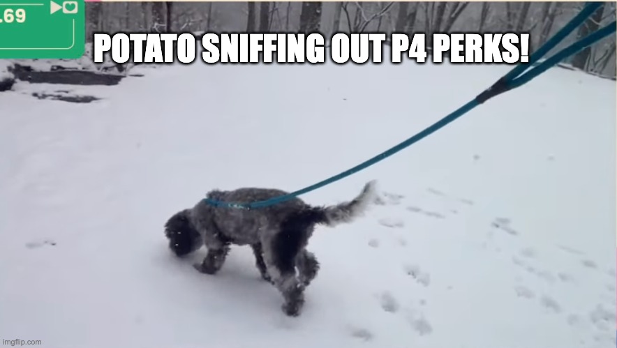 taaddisbinz's tweet image. This is already one of my favorite moments!

Find them here: tiltify.com/+p4a-producers…

#ProjectForAwesome #P4A2024