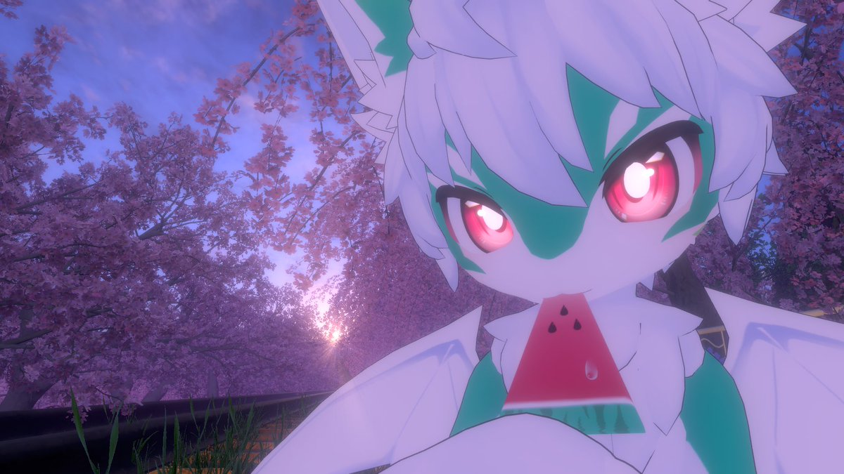 KemoMaty 🐉 tweet media