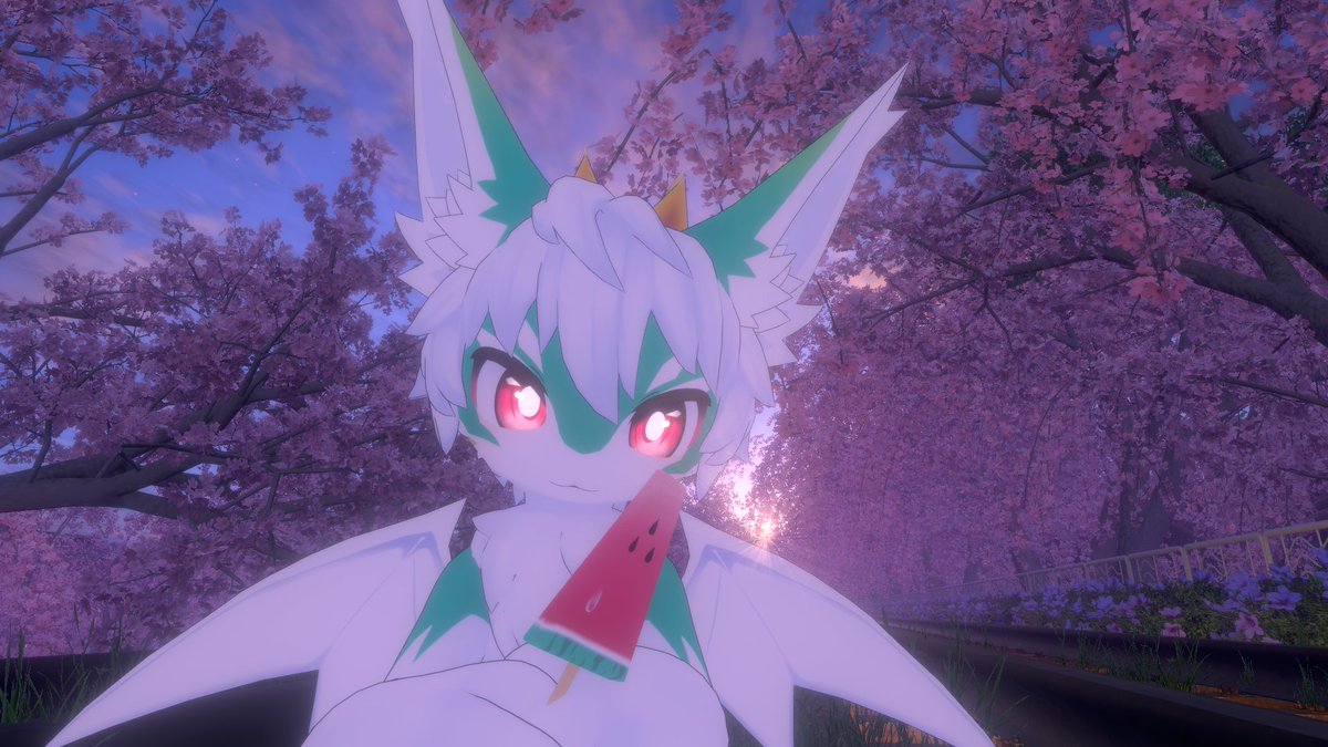 KemoMaty 🐉 tweet media