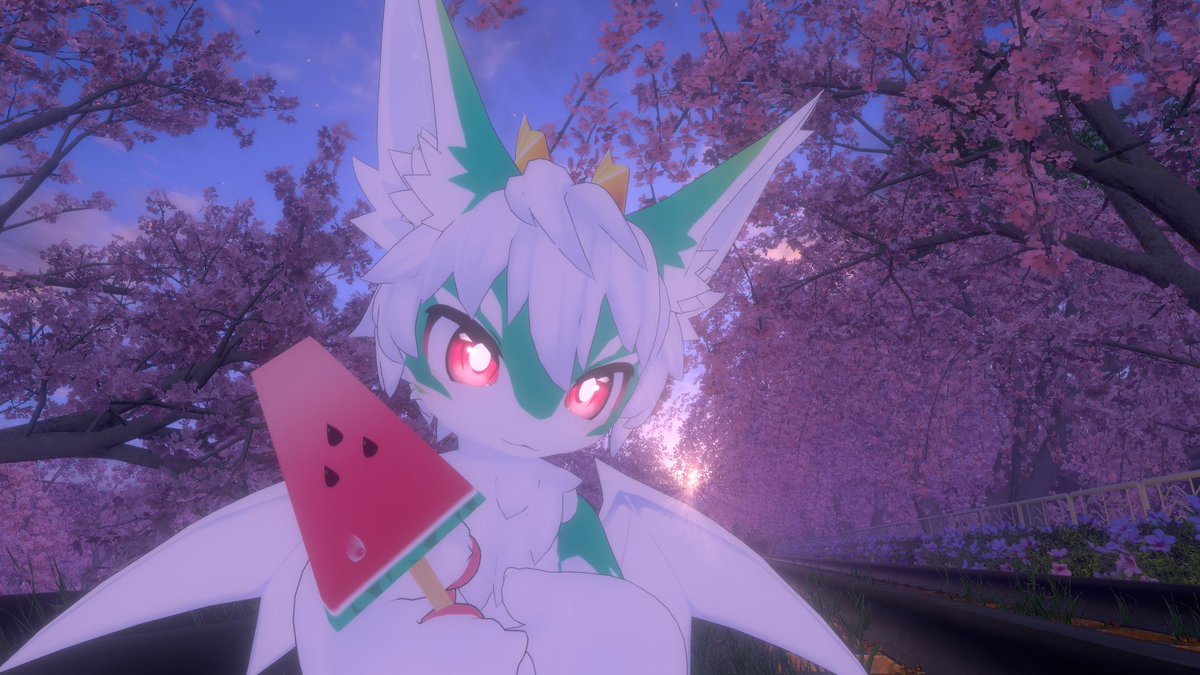 KemoMaty 🐉 tweet media