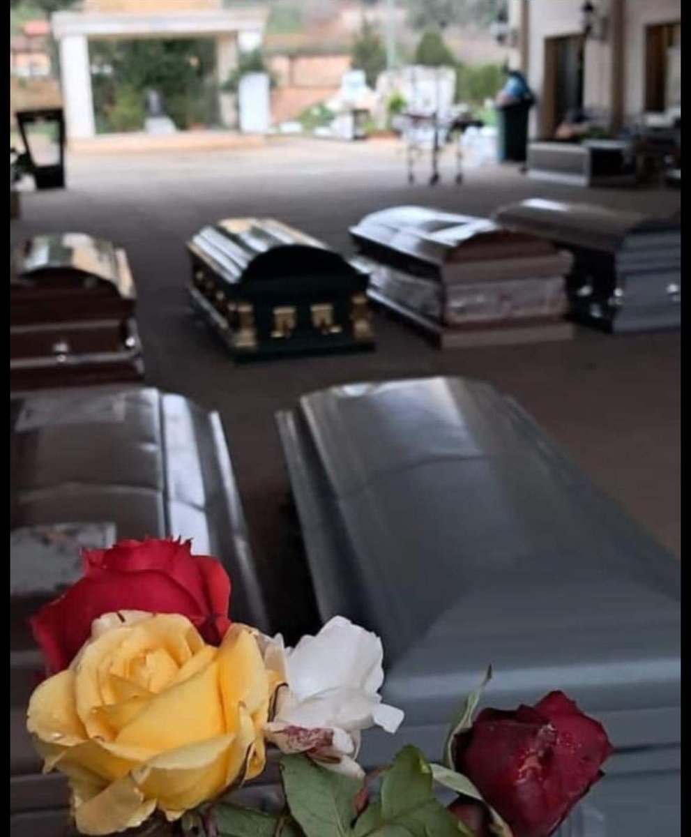 سويّـاً ... في الدُّنيا والآخرة 🥀❤️
أفراد عائلة آل برجاوي الذين قضوا في مجز.رة #النبطية