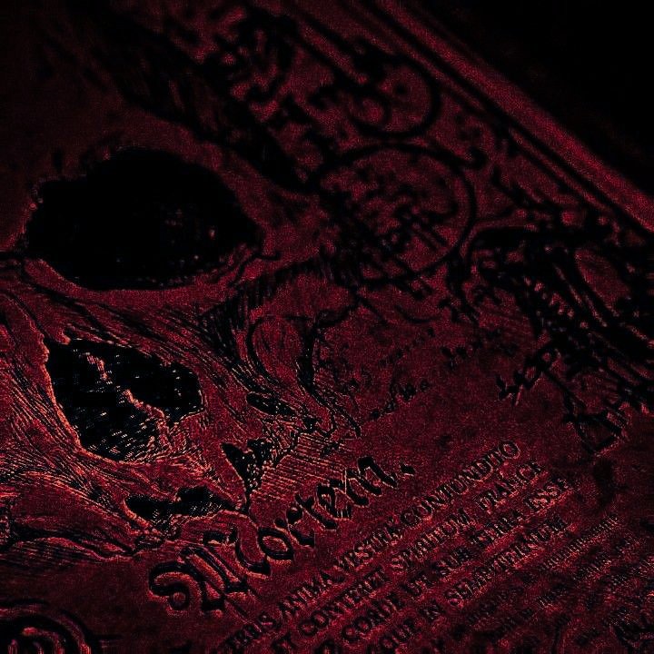 filodeargenta's tweet photo. ⠀⠀⠀⠀⠀⠀⠀⠀⠀⠀
⠀⠀⠀⠀⠀⠀
⠀⠀⠀⠀⠀⠀⠀⠀⠀𝕯𝖔𝖓𝖉𝖊 𝖙𝖊𝖗𝖒𝖎𝖓𝖆 𝖒𝖎 𝖘𝖔𝖒𝖇𝖗𝖆,  
⠀⠀⠀⠀⠀⠀⠀⠀⠀𝖈𝖔𝖒𝖎𝖊𝖓𝖟𝖆   𝖊𝖑   𝖗𝖊𝖎𝖓𝖔  𝖉𝖊   𝖑𝖔𝖘  
⠀⠀⠀⠀⠀⠀⠀⠀⠀⠀⠀⠀⠀⠀𝖈𝖔𝖓𝖉𝖊𝖓𝖆𝖉𝖔𝖘.  
⠀⠀⠀⠀⠀⠀⠀⠀⠀⠀⠀⠀⠀⠀⠀⠀⠀⠀🕈 https://t.co/1XsfwYz9xv