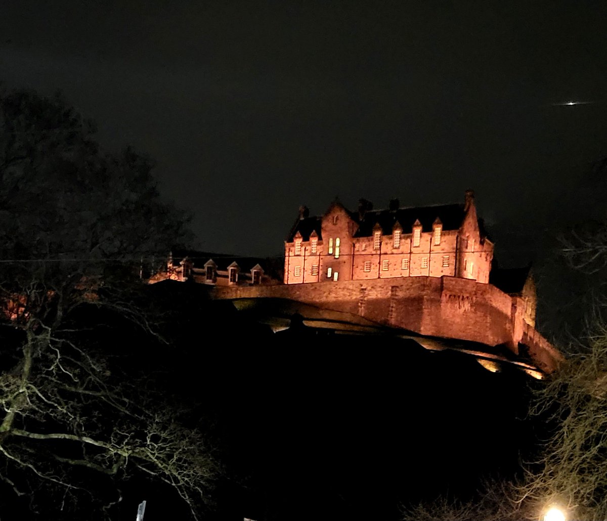 Dawn 💚 Of the Tribes 🇮🇪 tweet media