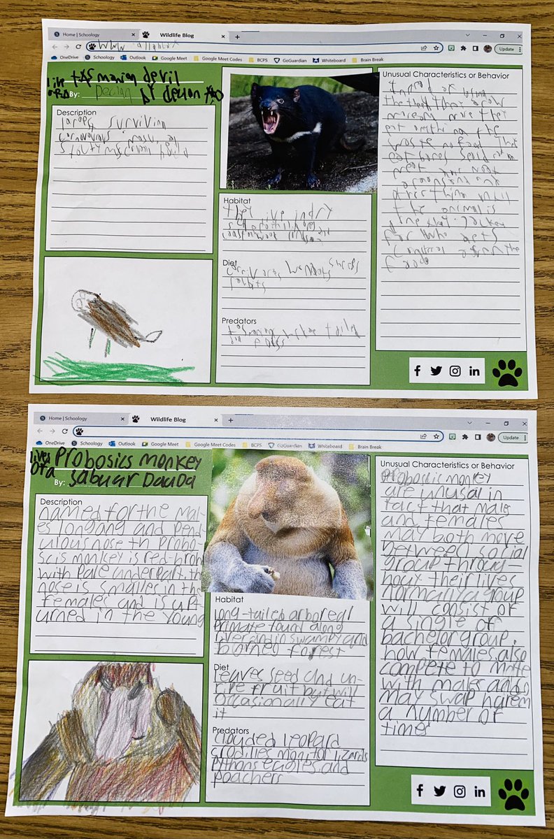 MsMaeveWyatt's tweet image. My students researched different unusual animals for their wildlife blogs! Check them out! #HMHIntoReading #Module6 🦓🐅🐆🐘🦍🦒🦘🦏