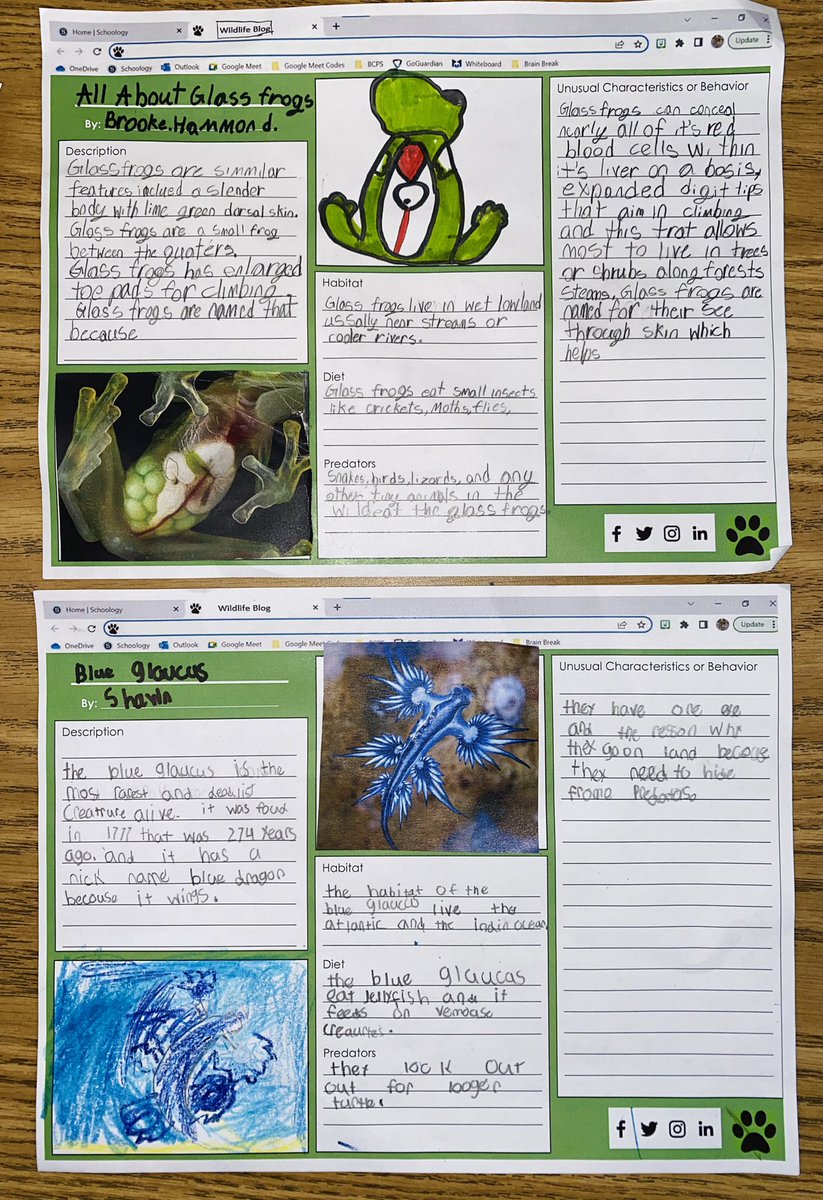 MsMaeveWyatt's tweet image. My students researched different unusual animals for their wildlife blogs! Check them out! #HMHIntoReading #Module6 🦓🐅🐆🐘🦍🦒🦘🦏