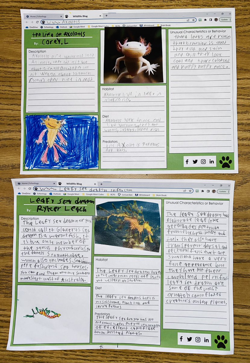 MsMaeveWyatt's tweet image. My students researched different unusual animals for their wildlife blogs! Check them out! #HMHIntoReading #Module6 🦓🐅🐆🐘🦍🦒🦘🦏