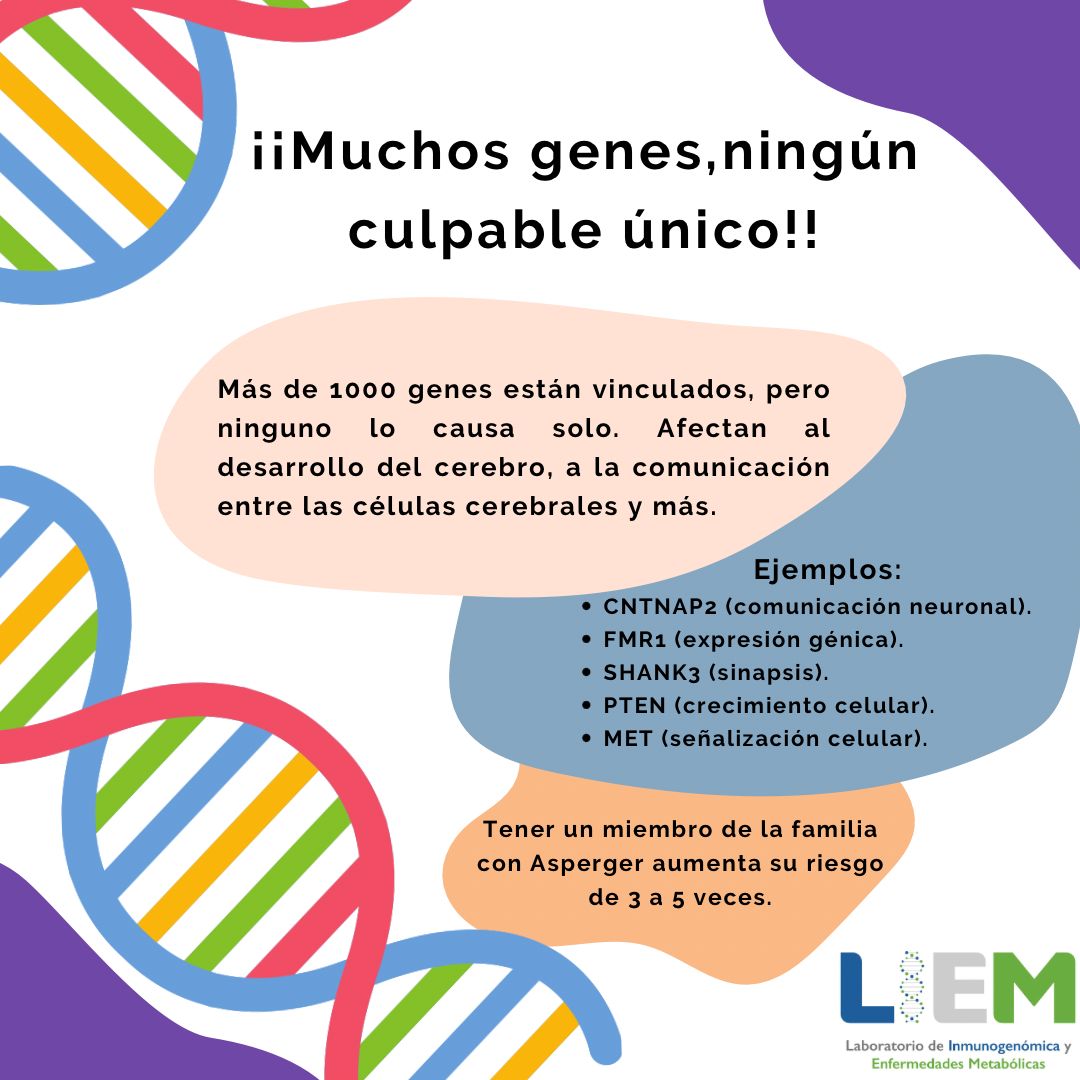Más de 1000 genes están vinculados, y el riesgo de padecerlo aumenta 3-5 veces en familias con un miembro afectado