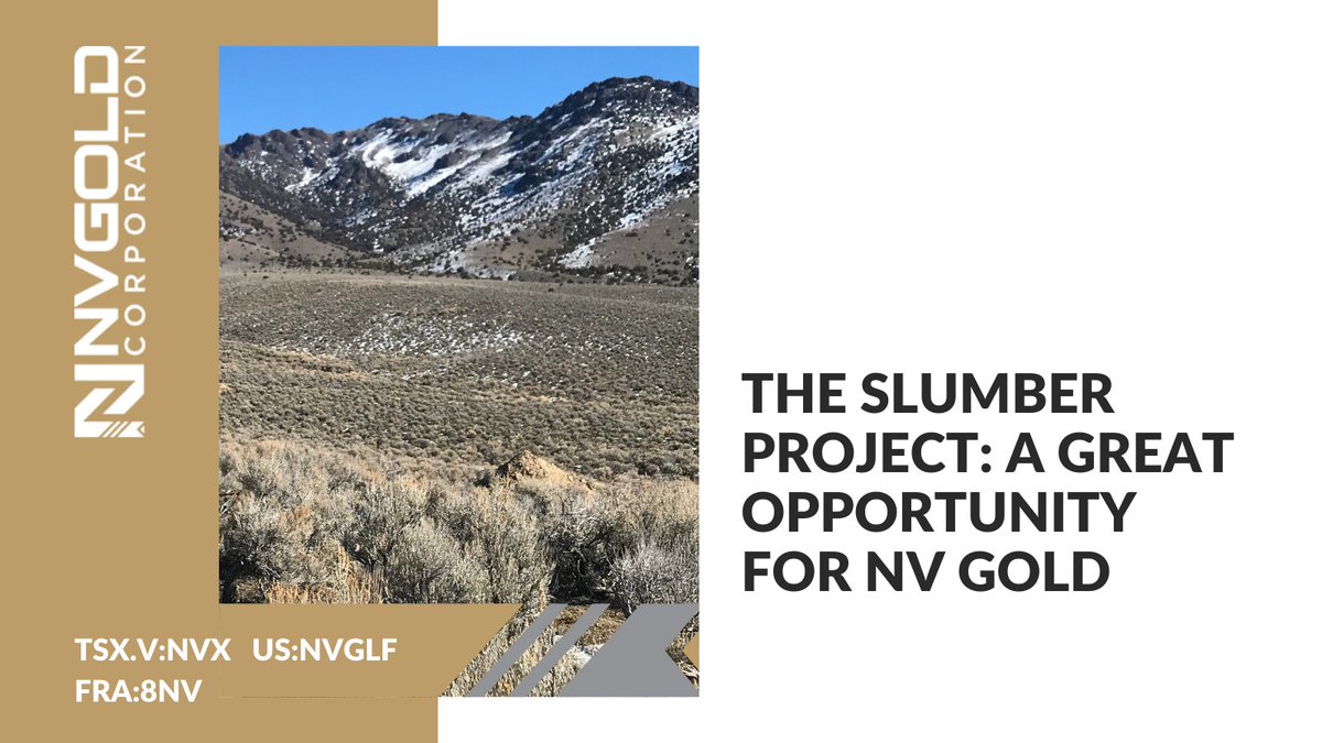 The Slumber project represents a great opportunity for NV Gold. The project consists of an extensive near surface oxide gold system with an exploration target of ~450k gold oz. Learn more about NV Gold's Slumber project here: nvgoldcorp.com/site/assets/fi… $NVX $NVGLF 8NV #Gold #Au