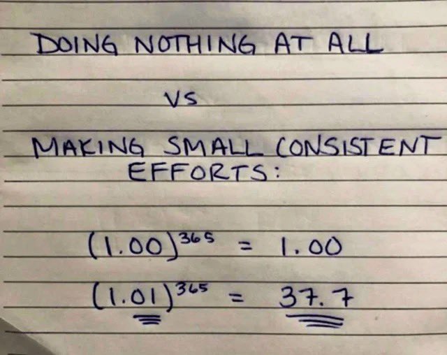 Focus on small daily wins.