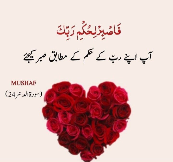 ab_zz1's tweet photo. 🤍اَللّٰھُمَّ صَلِّ عَلٰی مُحَمَّدٍ وَعَلٰی آلِ مُحَمَّدٍ کَماصَلَّيتَ عَلٰی اِبْراھِيمَ وَعَلٰی آلِ اِبْراھِيمَ اِنَّكَ حَمِيدُ مَّجِيدُُ
اَللَّھُمَّ بَارِك عَلٰی مُحَمَّدٍوَّعَلٰی آلِ مُحَمَّدٍ کَمَا بَارکتَ عَلٰی اِبراھِيمَ وَعَلٰی آلِ اِبراھيمَ اِنَّك حَمِيدُ مَّجِید 🤍

🤍 https://t.co/3jQre2m307