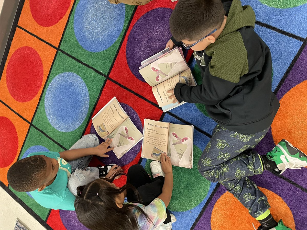 Green2Learn's tweet photo. Tier 1 groupings in Reading!!!! https://t.co/0Zv1wemW5M