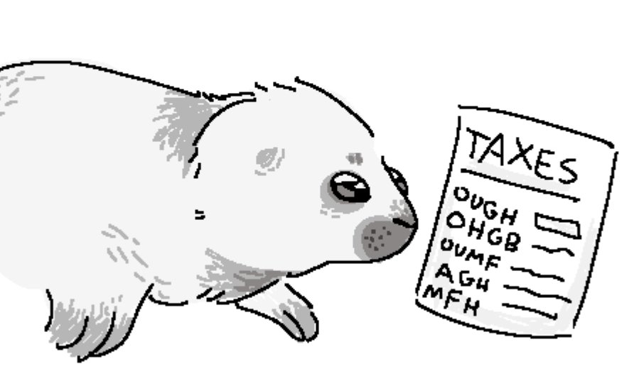 baikal seal niko filing his taxes