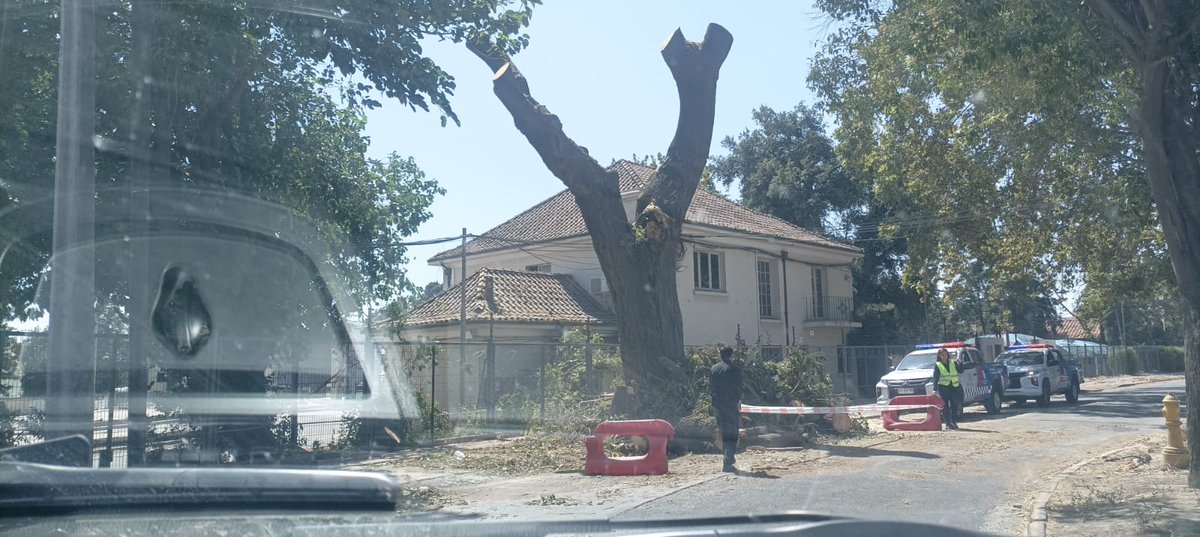 Franciscosaav's tweet photo. #Quilicura una de las comunas con menos mt2 de area verde y Municipio se manda estos descriterios, Tala de Arboles Centenarios, calle Lo Zañartu @muniquilicura @quilinic @chilevision @biobio @T13 @24HorasTVN @GreenpeaceCL @conaf_minagri @GabrielBoric ¡No es epoca de Poda! https://t.co/qlh3Dh7FD4