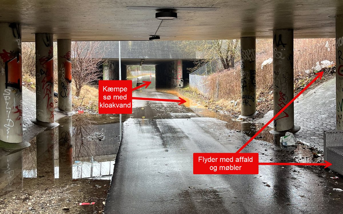 lrunejensen's tweet photo. @gladsaxekommune C95 "supercykelstien" har nu været oversvømmet af et stoppet afløb siden 15. januar (mindst). Dette foto er fra i dag....gider I ikke godt snart få ringet til en slamsuger osv  #supercykelsti https://t.co/B2T1PuhYfv