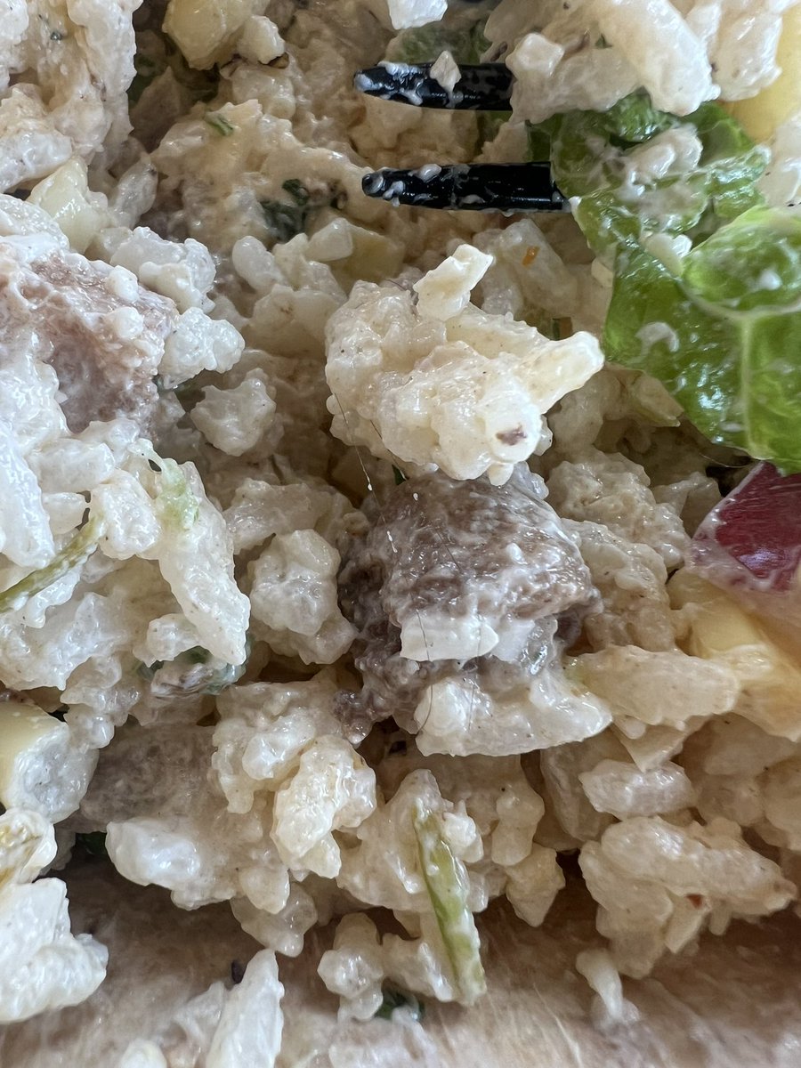 My lunch has been ruined 😭😭 found a hair in my chipotle bowl today 🥲🥲 <a href="/ChipotleTweets/">Chipotle</a>