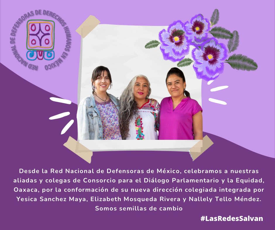 RedDefensorasMx's tweet photo. Oaxaca | ❤️🔥Nos sumamos a las celebraciones por el nombramiento de la nueva dirección colegiada de nuestras aliadas y colegas🫂 de @consorciooaxaca seguimos trabajando e impulsando la 🕊️defensa y protección de los derechos. https://t.co/D0dOGj1Y7D