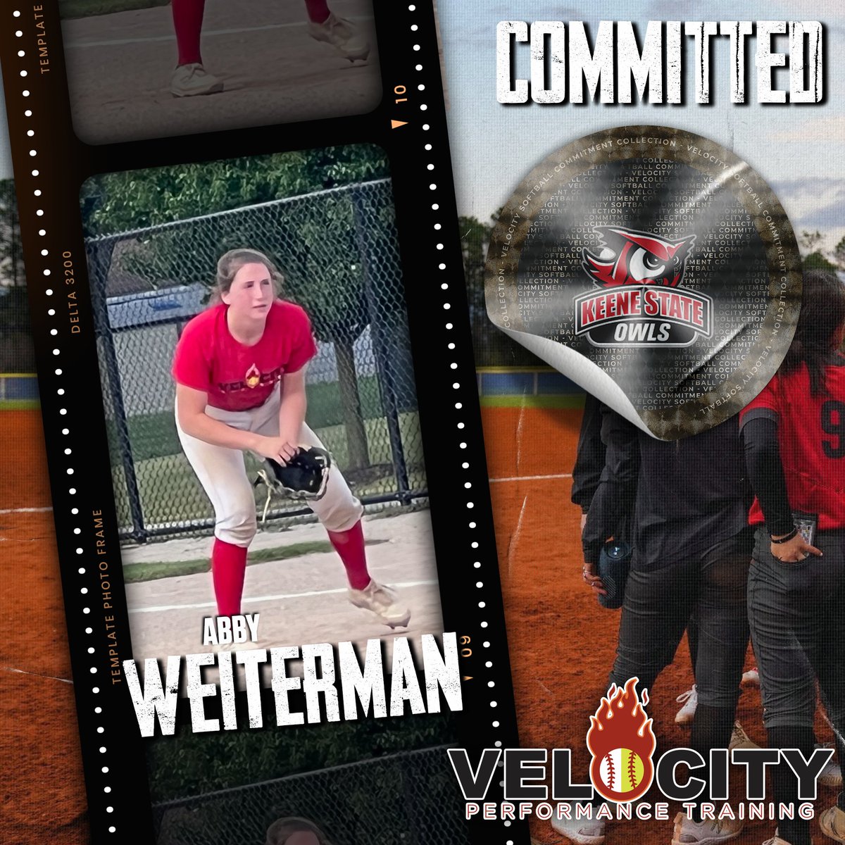 Velocity Performance Training tweet media