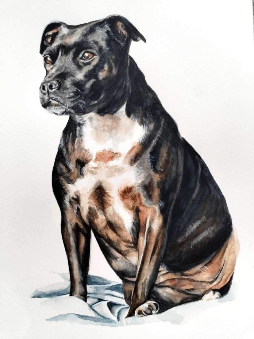 Beautiful watercolour of my dad’s dog Koko for his birthday by the very talented @lisamanning_ @LittleHotch @alanjbanks