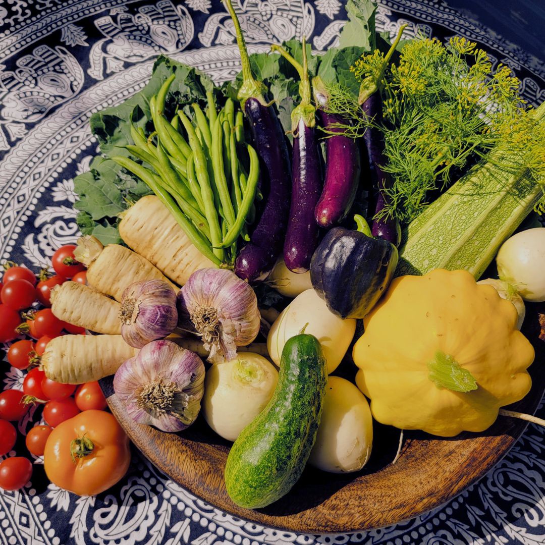 solahnightstar's tweet photo. Who's started thinking about what they'd like to plant seeds for this year? Home grown organic food is where it's at. 🌱

Photo from one of my harvests last year. Eggplant has been one of my fav things to grow. What's yours? 🥰 https://t.co/AheGJSATj9
