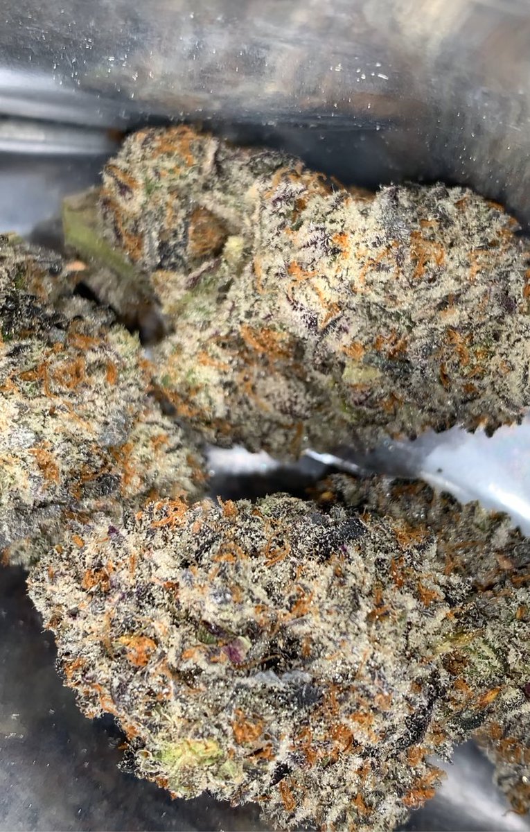 My old manager texted me a picture of the Pure Michigan from 3rd Coast Genetics.   It is her new favorite smoke on the legal market.   

<a href="/AtlCultivation/">Atlantic Cultivation</a> strikes again!